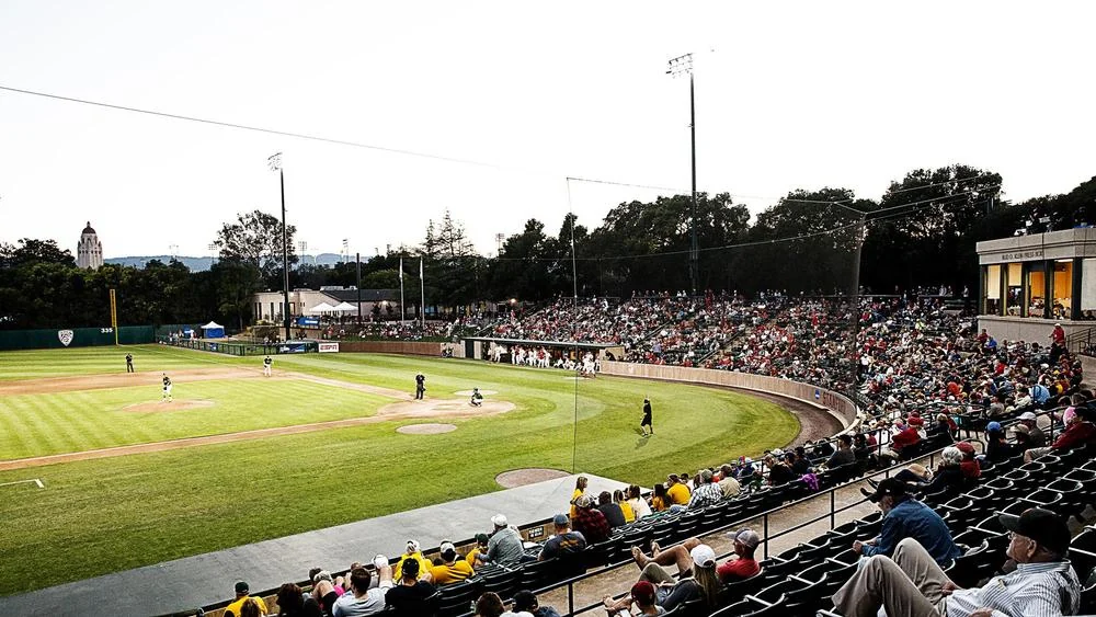 College Baseball Divisions Explained: NCAA, NAIA and JUCO